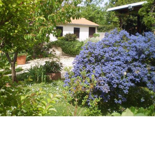 Holiday home in Medulin/Istrien 9196