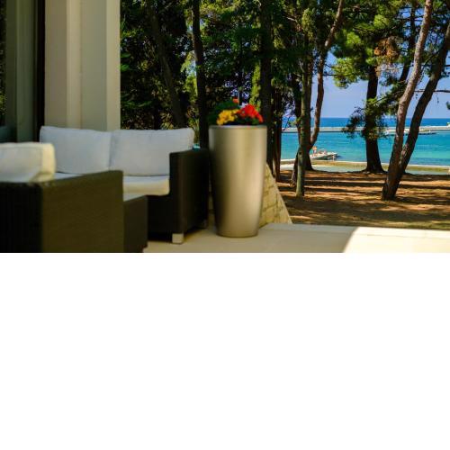 Hotel Flores