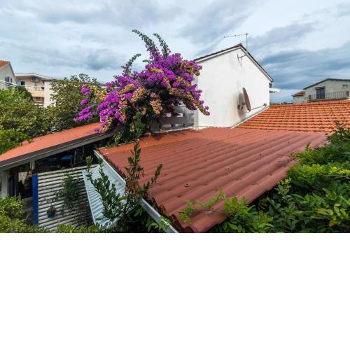 House Zeljko
