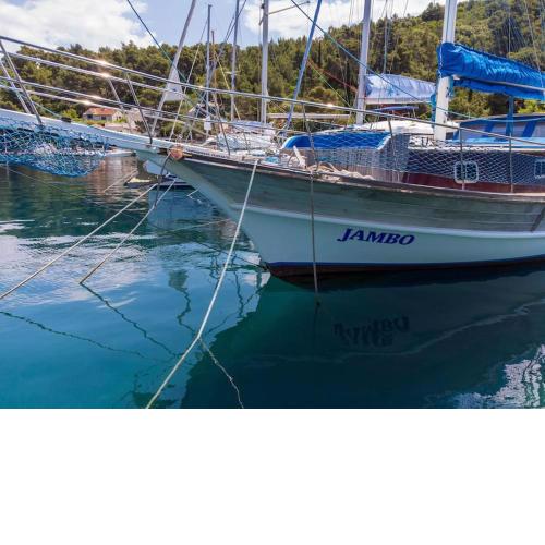 Jambo die etwas andere Ferienwohnung am(im) Meer