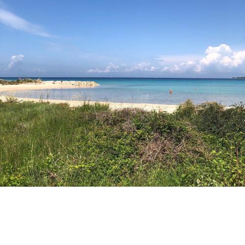 Lovely apartment on the beach with free parking