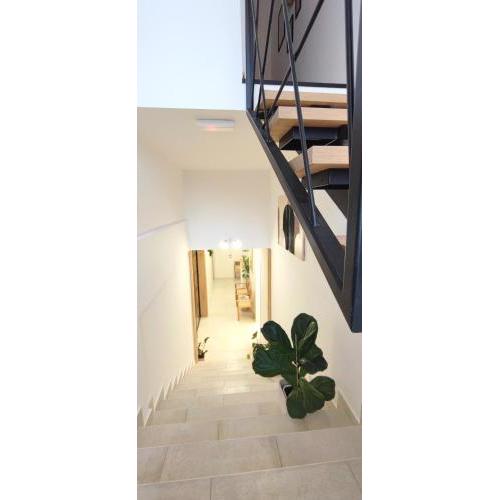 Luna Serene - Gym Rooms