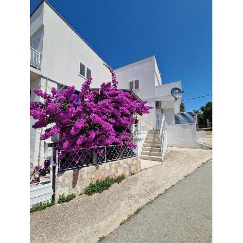 Maslenica-Bougainvillea