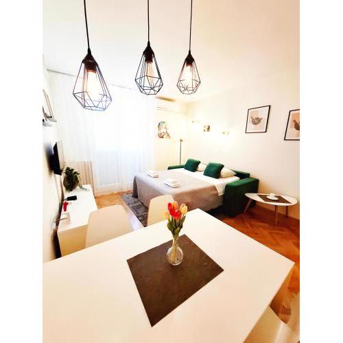 New Apartment Vikttoria