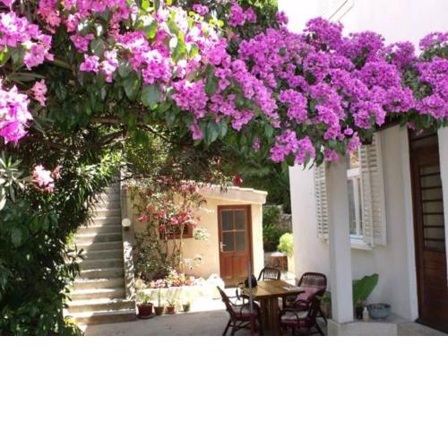 Plavi Žal Apartment
