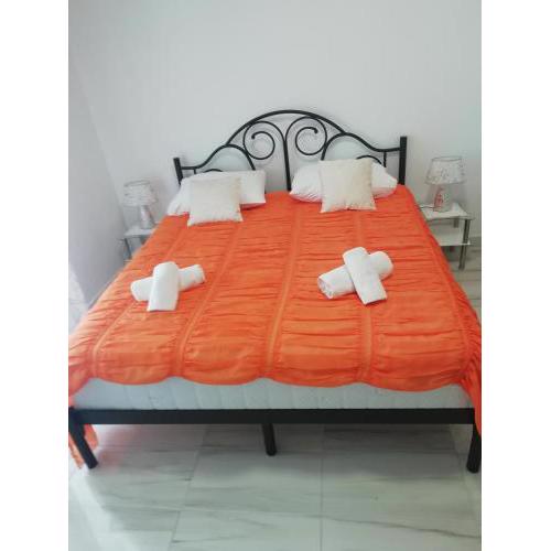Room Dragica