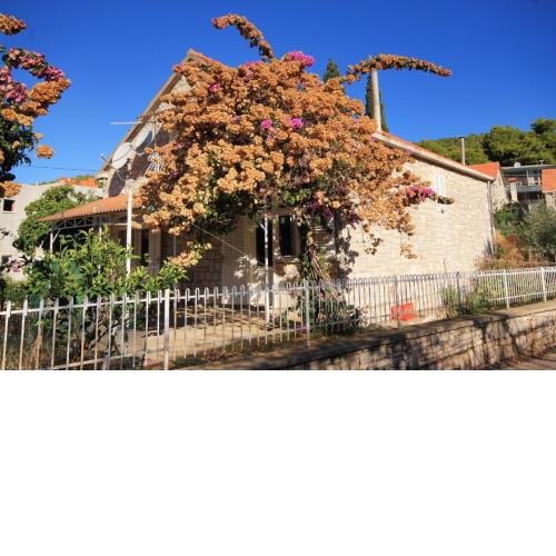 Seaside holiday house Brna, Korcula - 9235