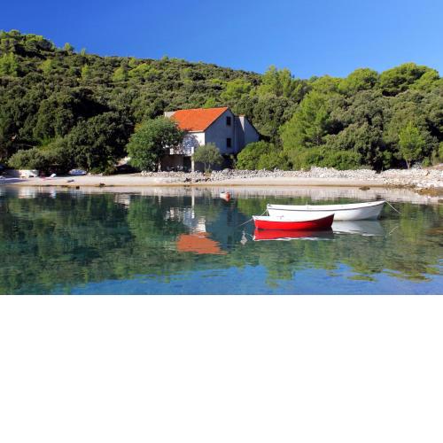Seaside holiday house Cove Vrbovica bay - Vrbovica (Korcula) - 9223
