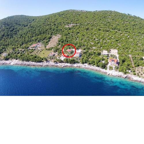 Seaside holiday house Karbuni, Korcula - 14889