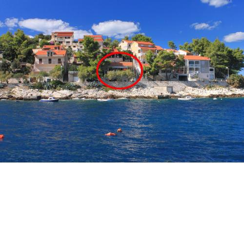 Seaside holiday house Prigradica, Korcula - 11484