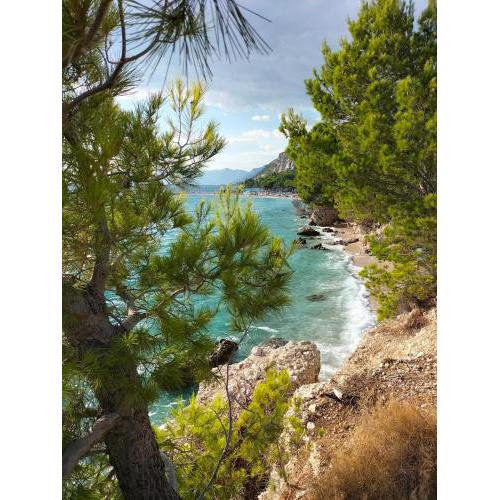 Studie-Apartment in Makarska, Kroatien