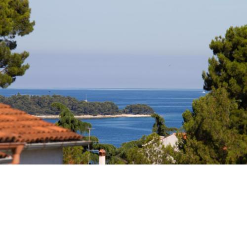 Studio Apartman Nega 1