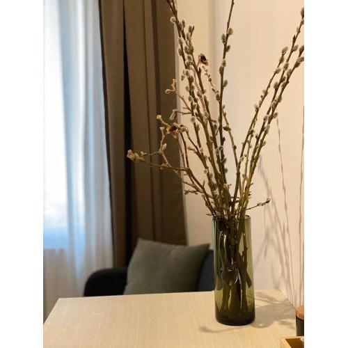 Studio Apartment Park Zrinjevac