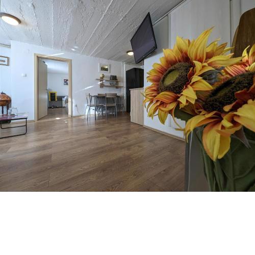 Twin-Magnolias Condo with Garden, Parking & EV Station