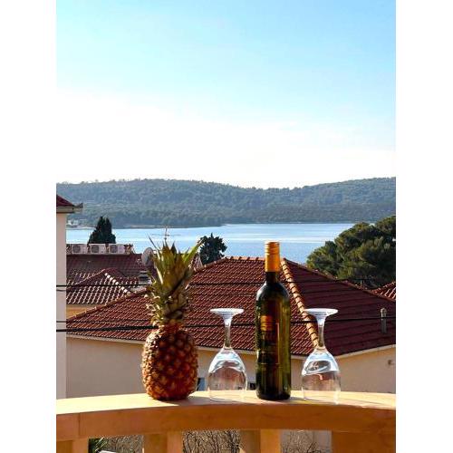 Villa Rudie with 4 Apartments Near the Sea